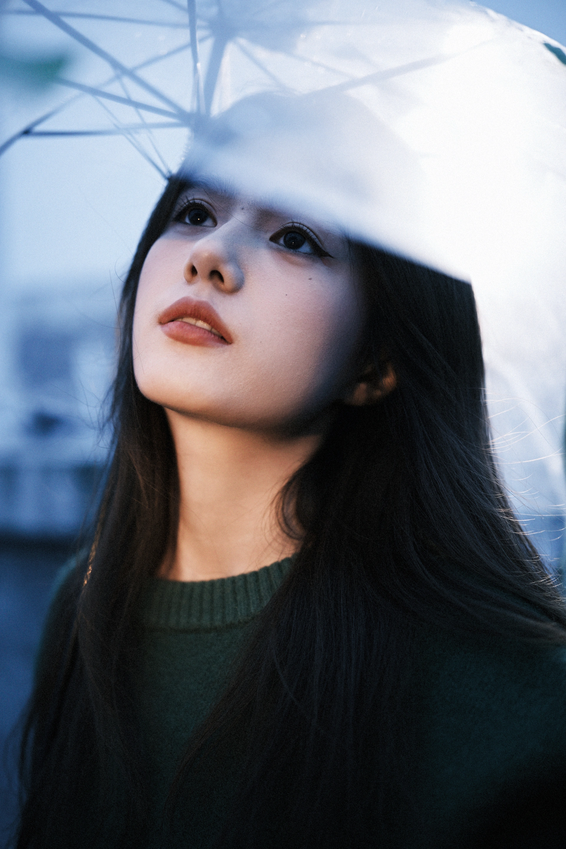 [YITUYU艺图语]2023.11.29 雨过之后 草萧疏 2